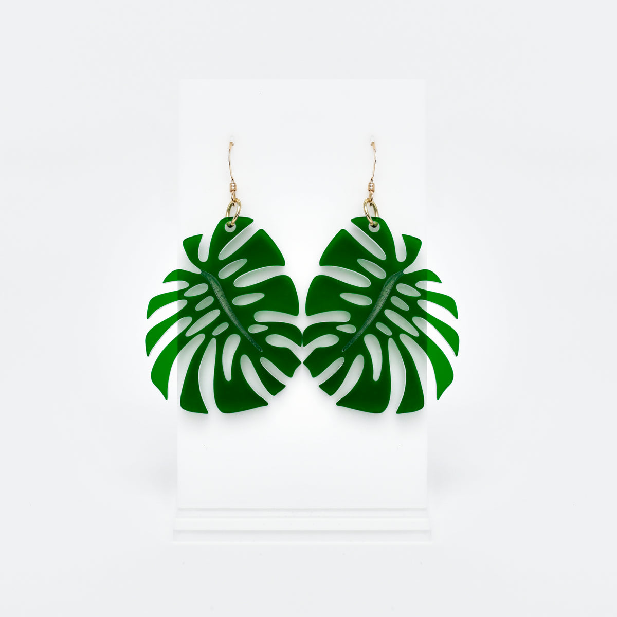 philodendron scandens aquarium Philodendron Scandens - Fast Growing Vining Plant