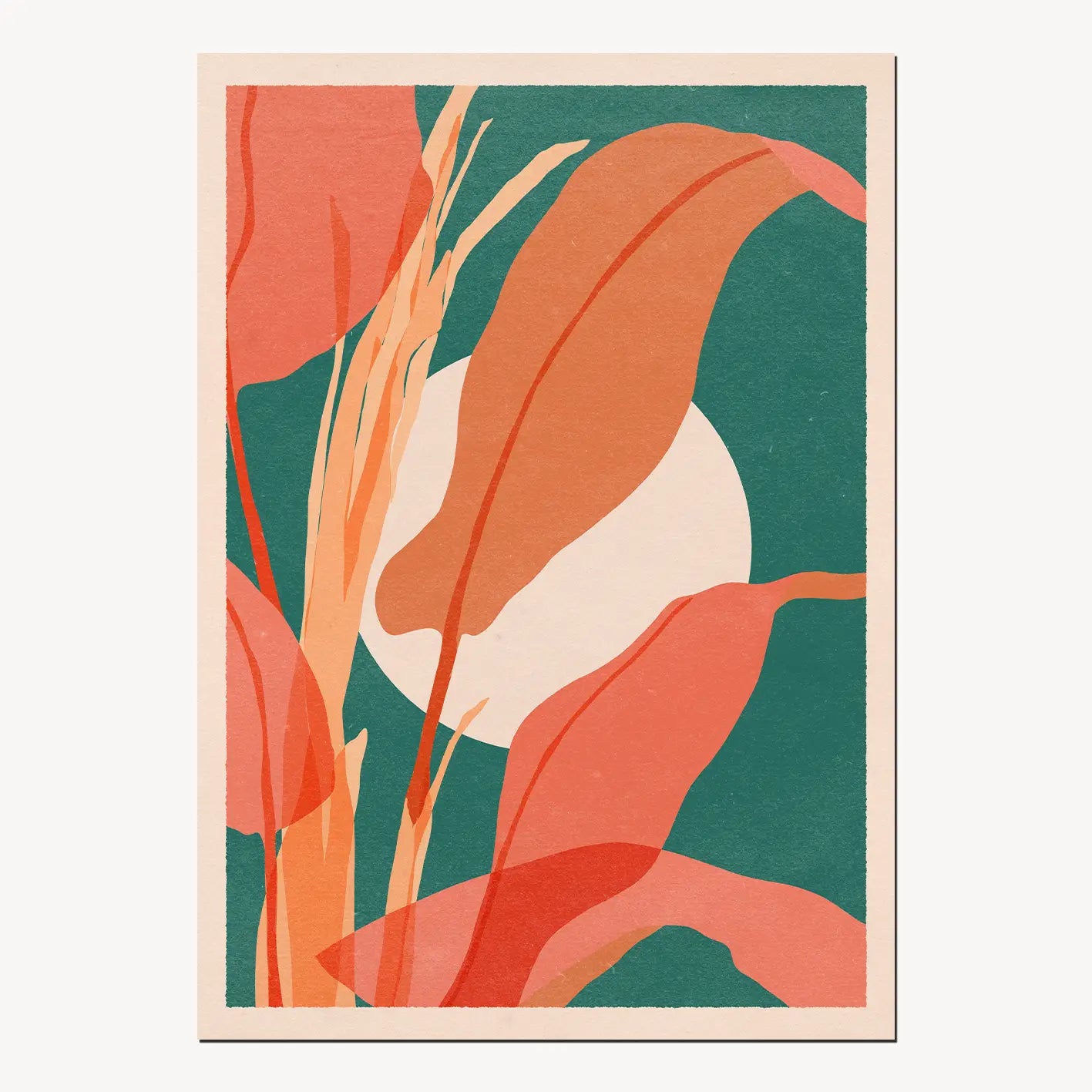 Musa Print