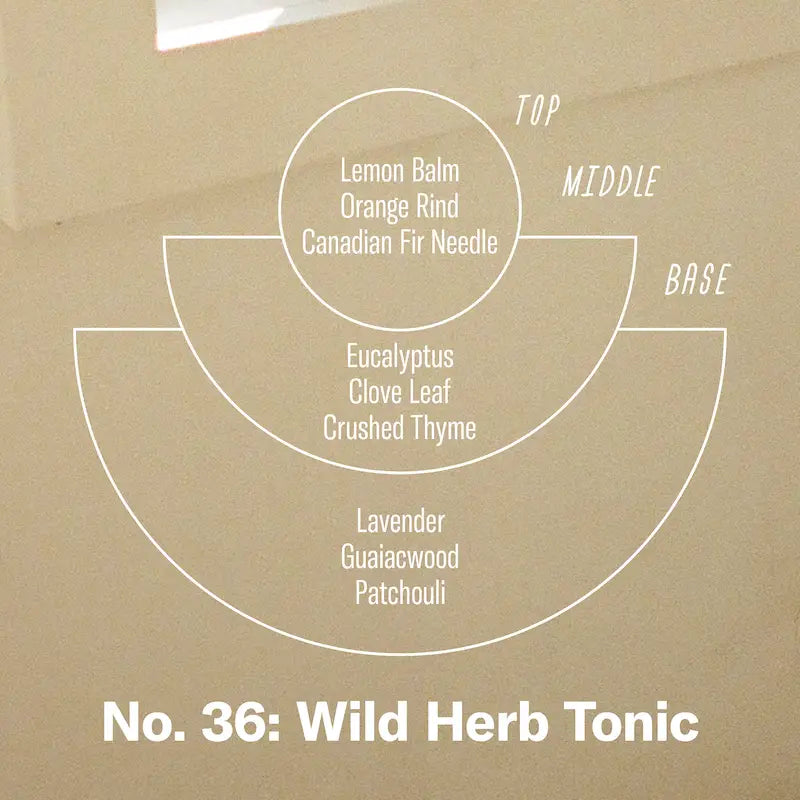 Wild Herb Tonic Charcoal Incense